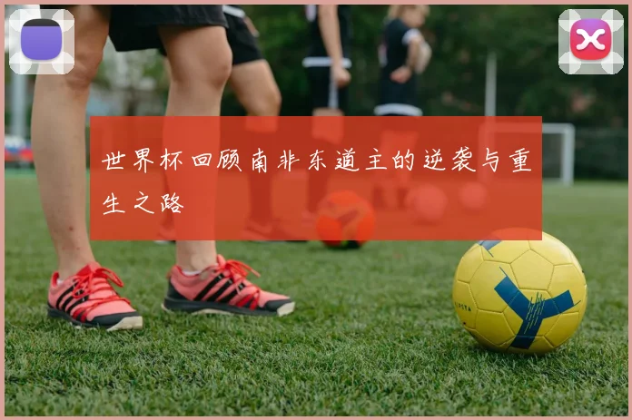 世界杯回顾南非东道主的逆袭与重生之路
