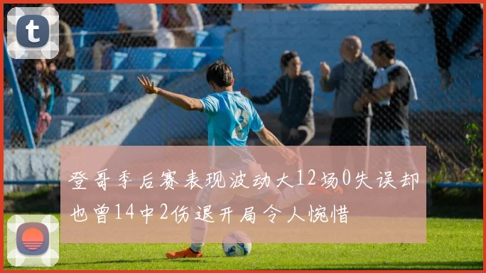 登哥季后赛表现波动大12场0失误却也曾14中2伤退开局令人惋惜